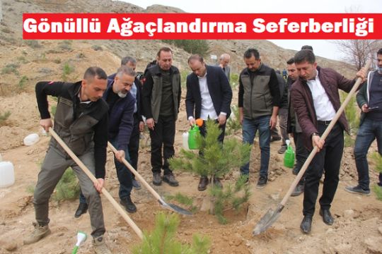 Gönüllü Ağaç Diktiler